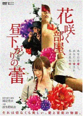电影分部图鉴:单张宽幅卡片与场记板